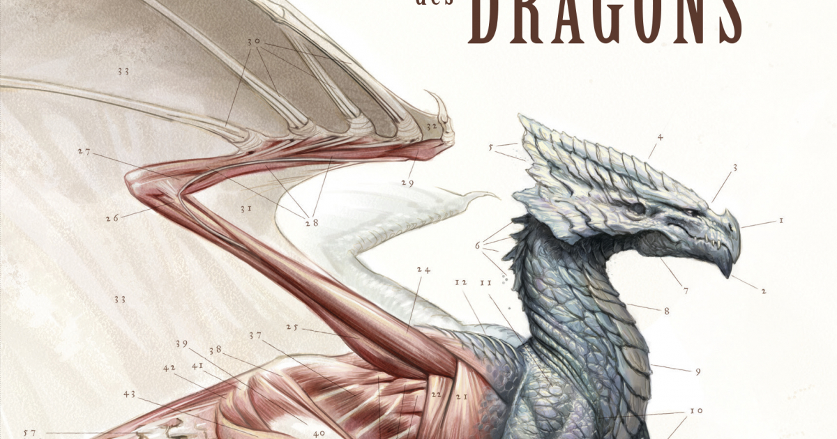 Le dragon, créature mythique – Au pays des cave trolls